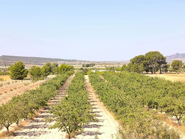 Grond te koop in Monóvar / Monóver - € 45.500 (Ref: 9049149)