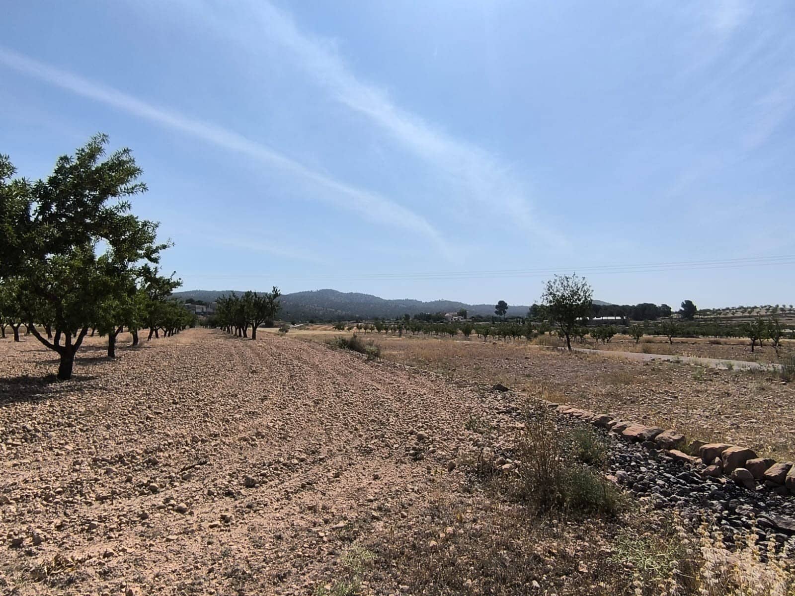 Terreno Non Edificato in vendita in Monovar / Monover - 16.500 € (Rif: 9049150)