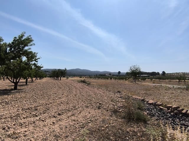 Mark till salu i Monóvar / Monóver - 16 500 € (Ref: 9049150)