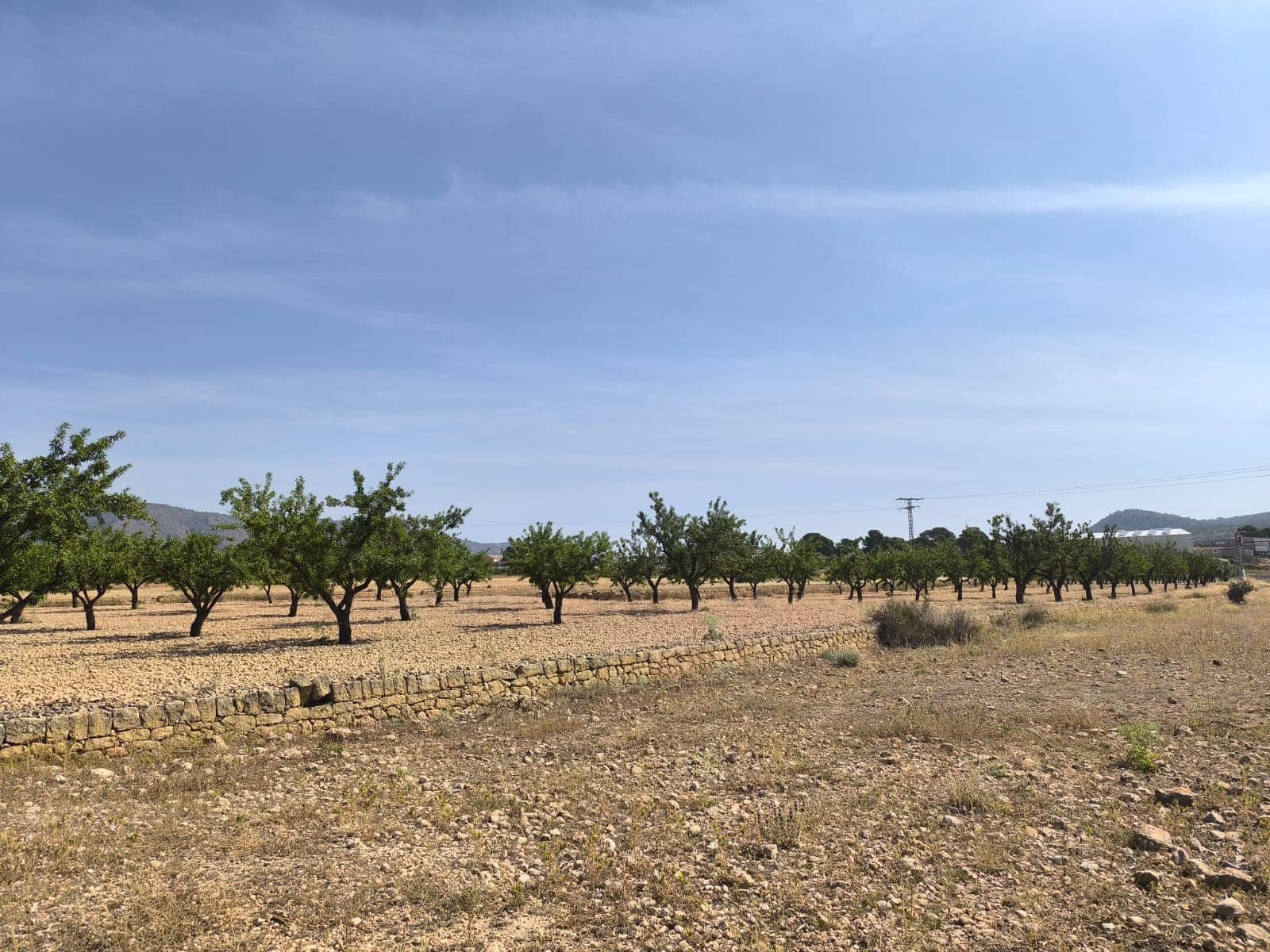 Terreno Non Edificato in vendita in Monovar / Monover - 16.500 € (Rif: 9049150)