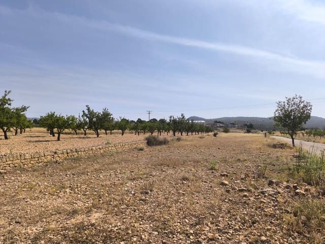 Mark till salu i Monóvar / Monóver - 16 500 € (Ref: 9049150)