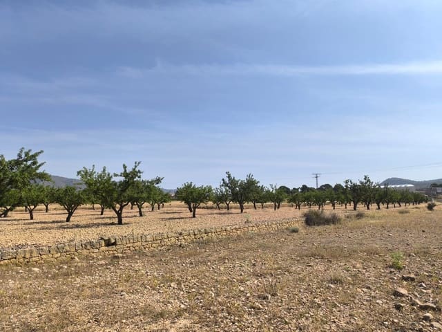 Undeveloped Land for sale in Monóvar / Monóver - € 16,500 (Ref: 9049150)