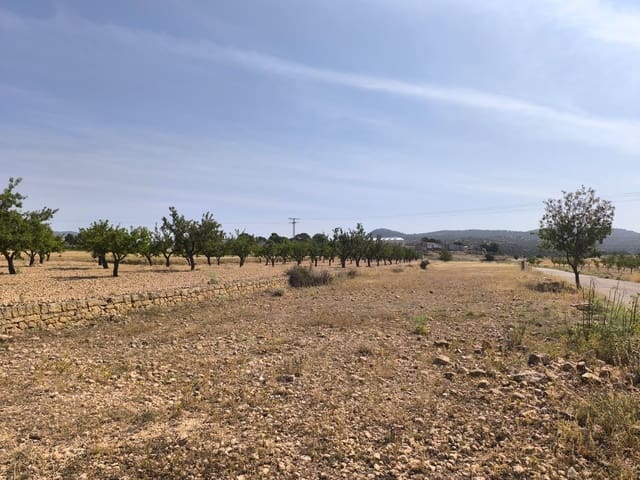 Undeveloped Land for sale in Monóvar / Monóver - € 16,500 (Ref: 9049150)