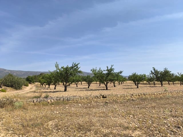 Undeveloped Land for sale in Monóvar / Monóver - € 16,500 (Ref: 9049150)