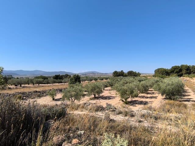 Undeveloped Land for sale in Monóvar / Monóver - € 37,500 (Ref: 9049219)