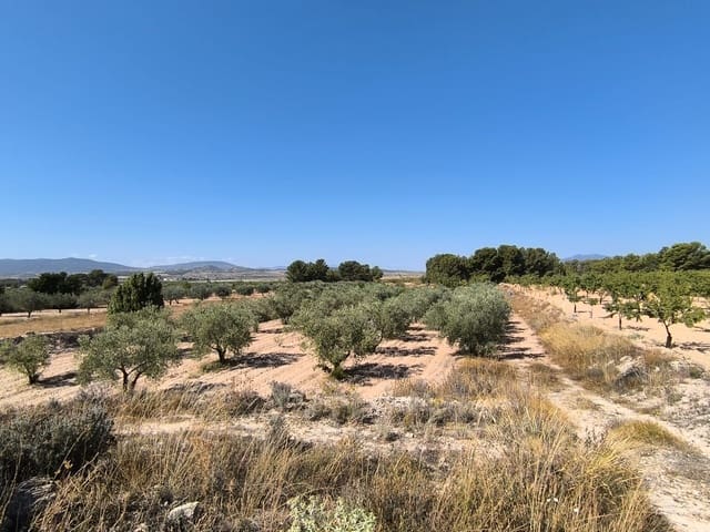 Undeveloped Land for sale in Monóvar / Monóver - € 37,500 (Ref: 9049219)