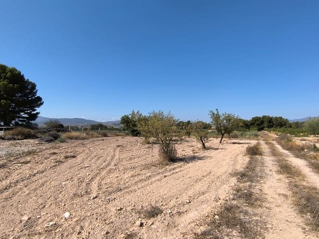 Undeveloped Land for sale in Monóvar / Monóver - € 37,500 (Ref: 9049219)