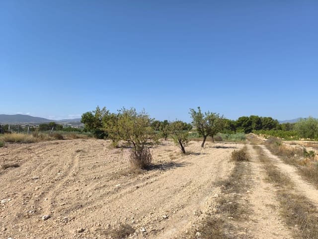 Undeveloped Land for sale in Monóvar / Monóver - € 37,500 (Ref: 9049219)