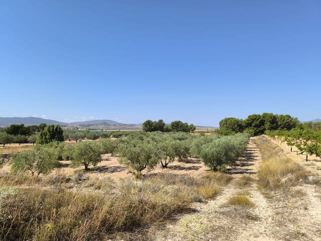 Undeveloped Land for sale in Monóvar / Monóver - € 37,500 (Ref: 9049219)