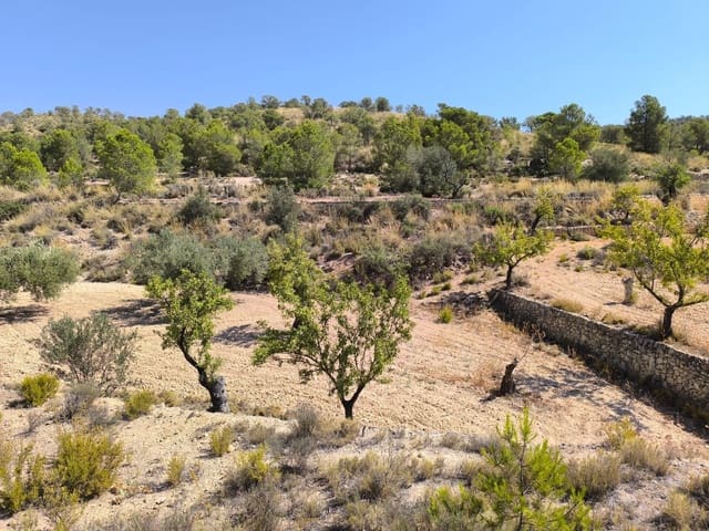 Undeveloped Land for sale in Monóvar / Monóver - € 11,500 (Ref: 9051754)