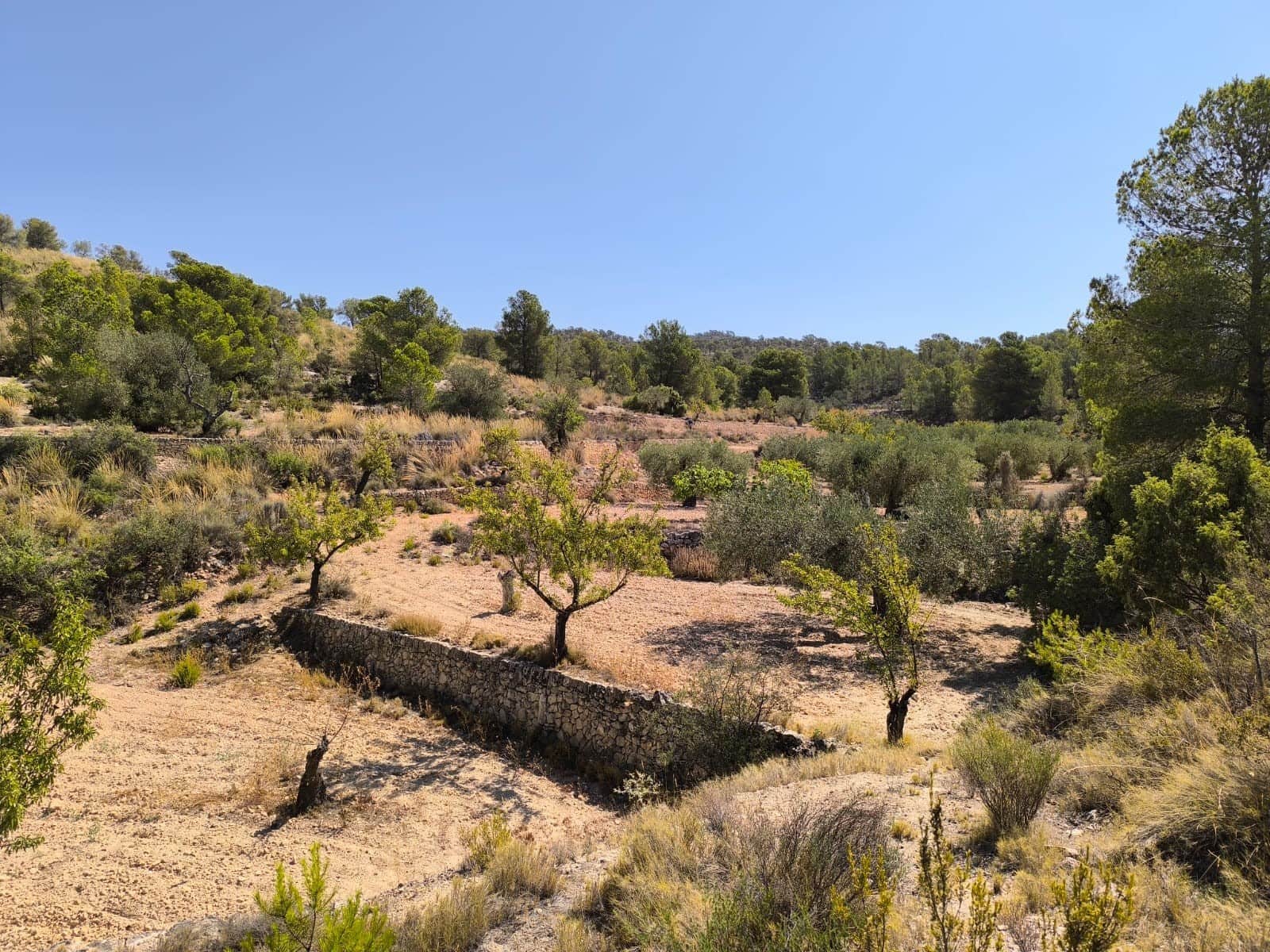 Ubebygd land til salgs i Monovar / Monover - € 11 500 (Ref: 9051754)