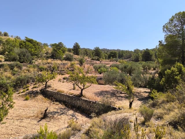 Grunde uden byggetilladelser til salg i Monóvar / Monóver - € 11.500 (Ref: 9051754)