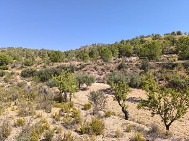 Undeveloped Land for sale in Monóvar / Monóver - € 11,500 (Ref: 9051754)
