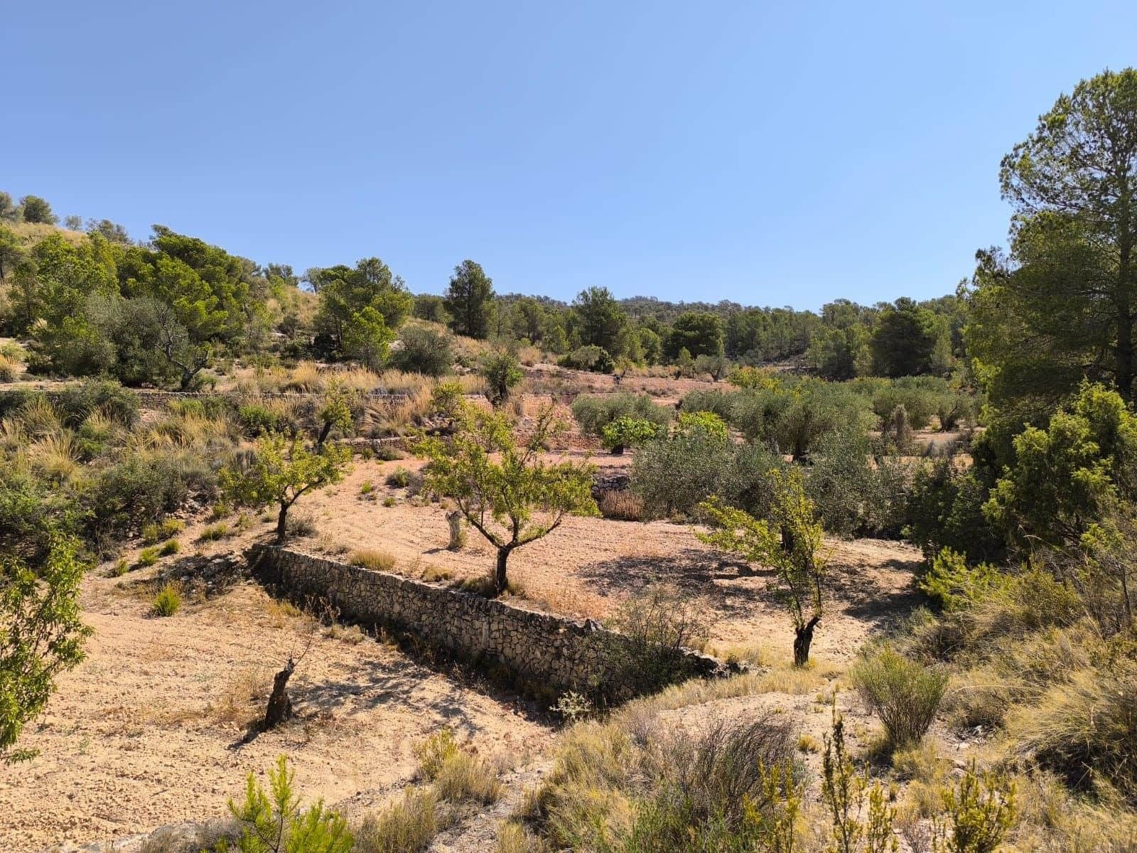 Undeveloped Land for sale in Monovar / Monover - € 11,500 (Ref: 9051754)