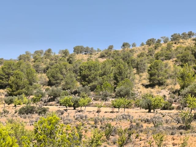 Undeveloped Land for sale in Monóvar / Monóver - € 9,995 (Ref: 9051755)