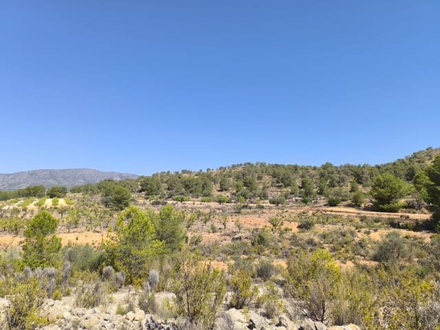 Undeveloped Land for sale in Monóvar / Monóver - € 9,995 (Ref: 9051755)