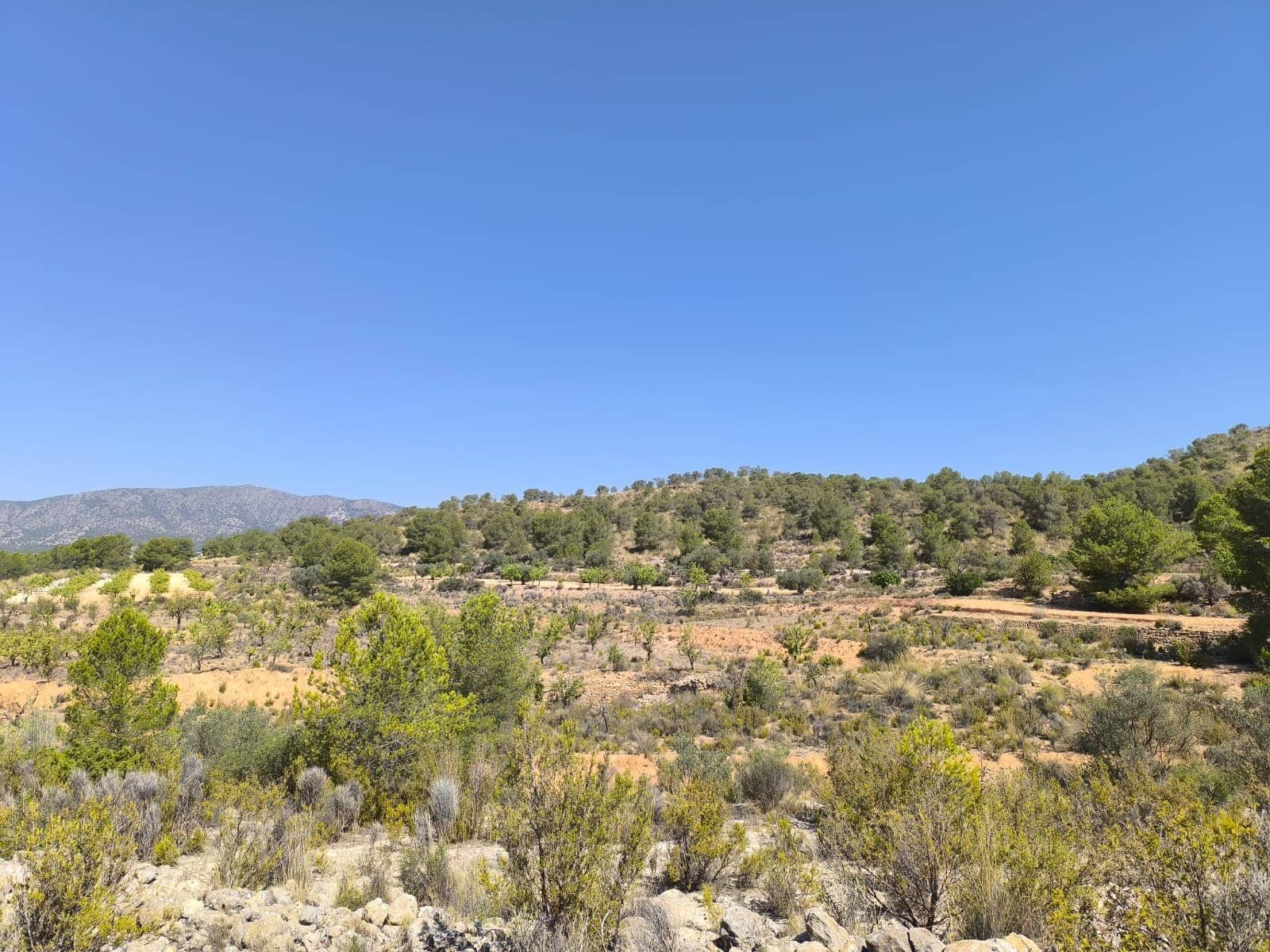 Terre non Aménagée à vendre à Monovar / Monover - 9 995 € (Ref: 9051755)