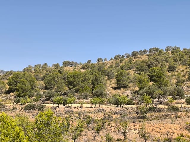 Terreno Non Edificato in vendita in Monóvar / Monóver - 9.995 € (Rif: 9051755)