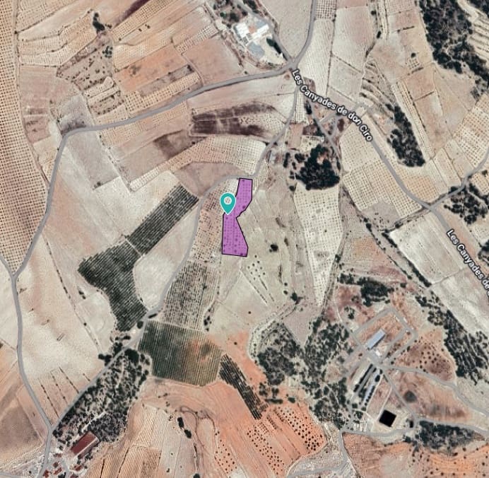 Terreno/Finca Rústica en Monóvar / Monóver en venta - 16.500 € (Ref: 9053601)