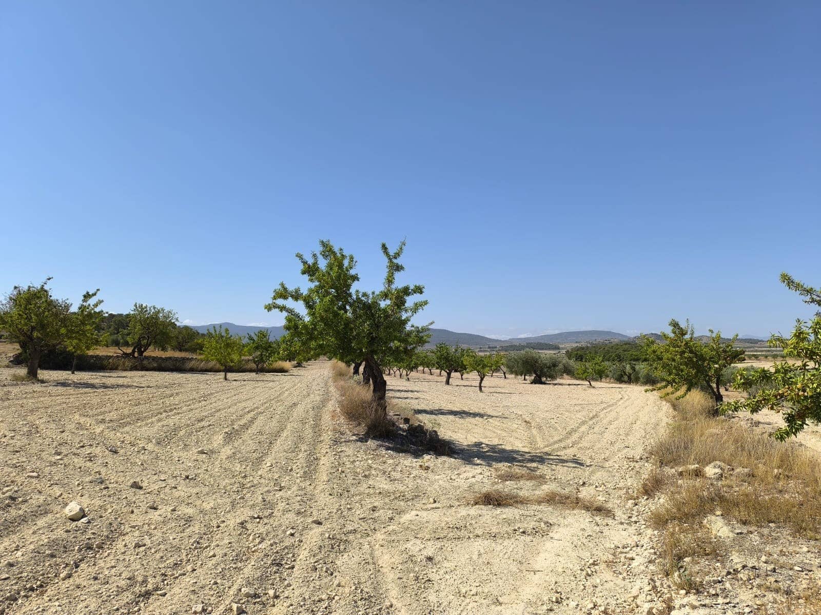 Terreno/Finca Rústica en Monóvar / Monóver en venta - 16.500 € (Ref: 9053601)