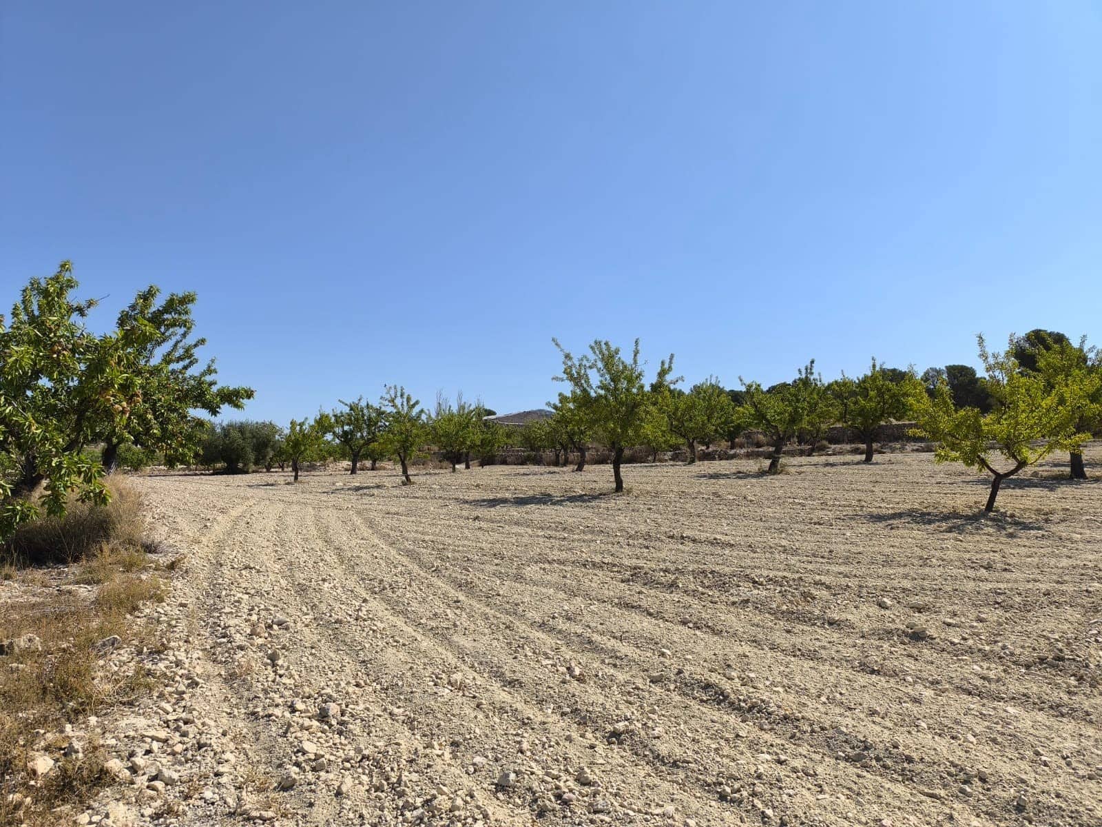 Terreno/Finca Rústica en Monóvar / Monóver en venta - 16.500 € (Ref: 9053601)