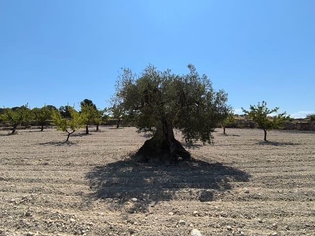 Grond te koop in Monóvar / Monóver - € 16.500 (Ref: 9053601)