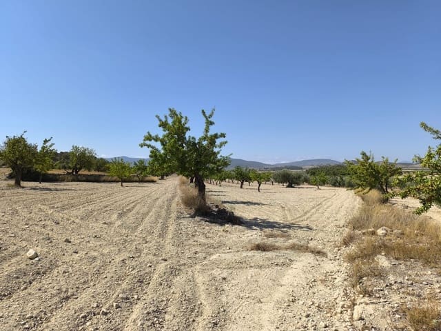 Mark till salu i Monóvar / Monóver - 16 500 € (Ref: 9053601)