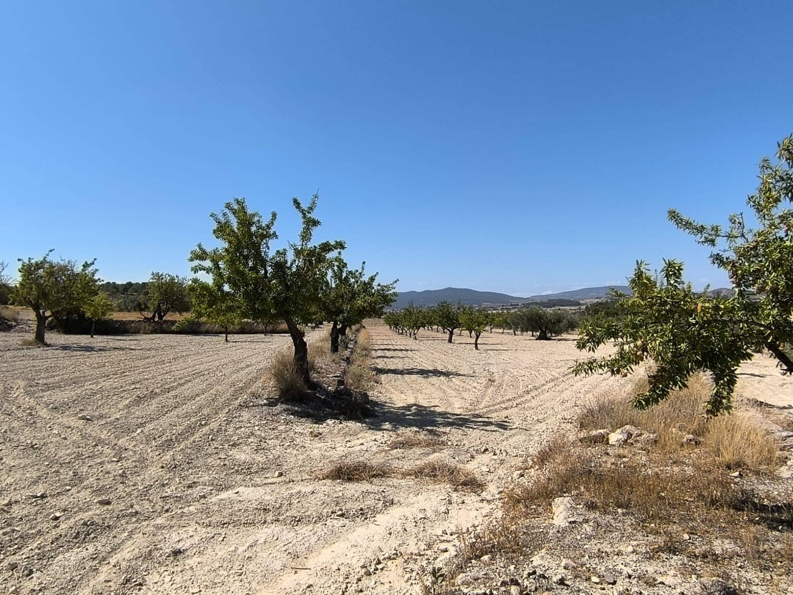 Terreno/Finca Rústica en Monóvar / Monóver en venta - 16.500 € (Ref: 9053601)