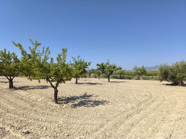 Teren niezagospodarowany na sprzedaż w Monóvar / Monóver - 16 500 € (Ref: 9053601)