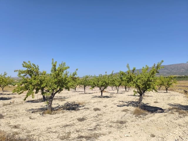 Grond te koop in Monóvar / Monóver - € 12.500 (Ref: 9053602)