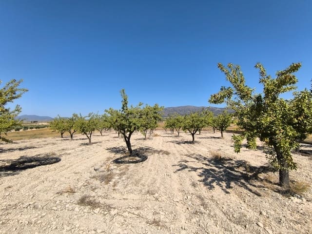 Grond te koop in Monóvar / Monóver - € 12.500 (Ref: 9053602)