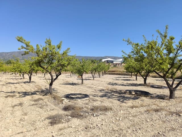Terreno Non Edificato in vendita in Monóvar / Monóver - 12.500 € (Rif: 9053602)