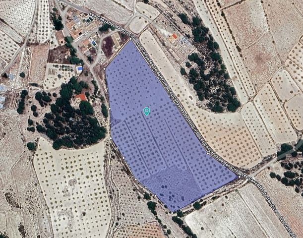 Undeveloped Land for sale in Monóvar / Monóver - € 37,500 (Ref: 9053604)