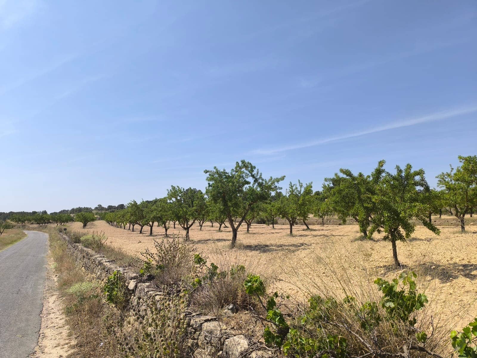 Grunde uden byggetilladelser til salg i Monovar / Monover - € 37.500 (Ref: 9053604)