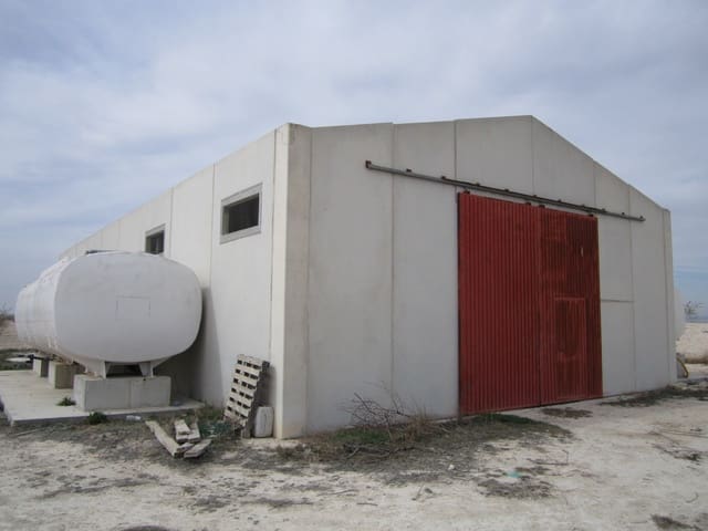 Undeveloped Land for sale in Jumilla - € 525,000 (Ref: 9061813)