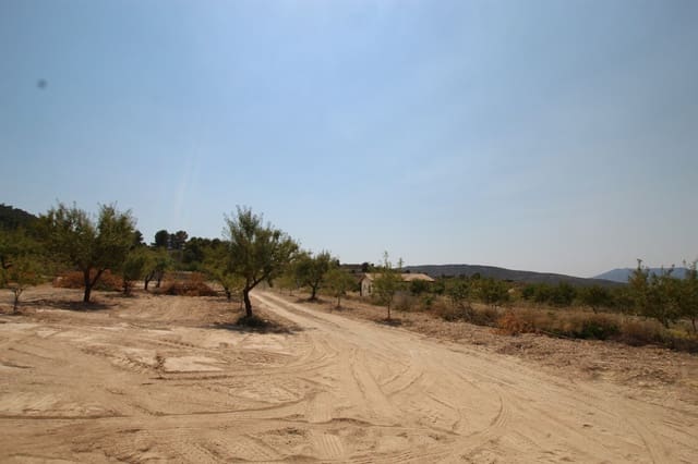 3 bedroom Villa for sale in Encebras, Pinoso with pool - € 304,995 (Ref: 9069194)