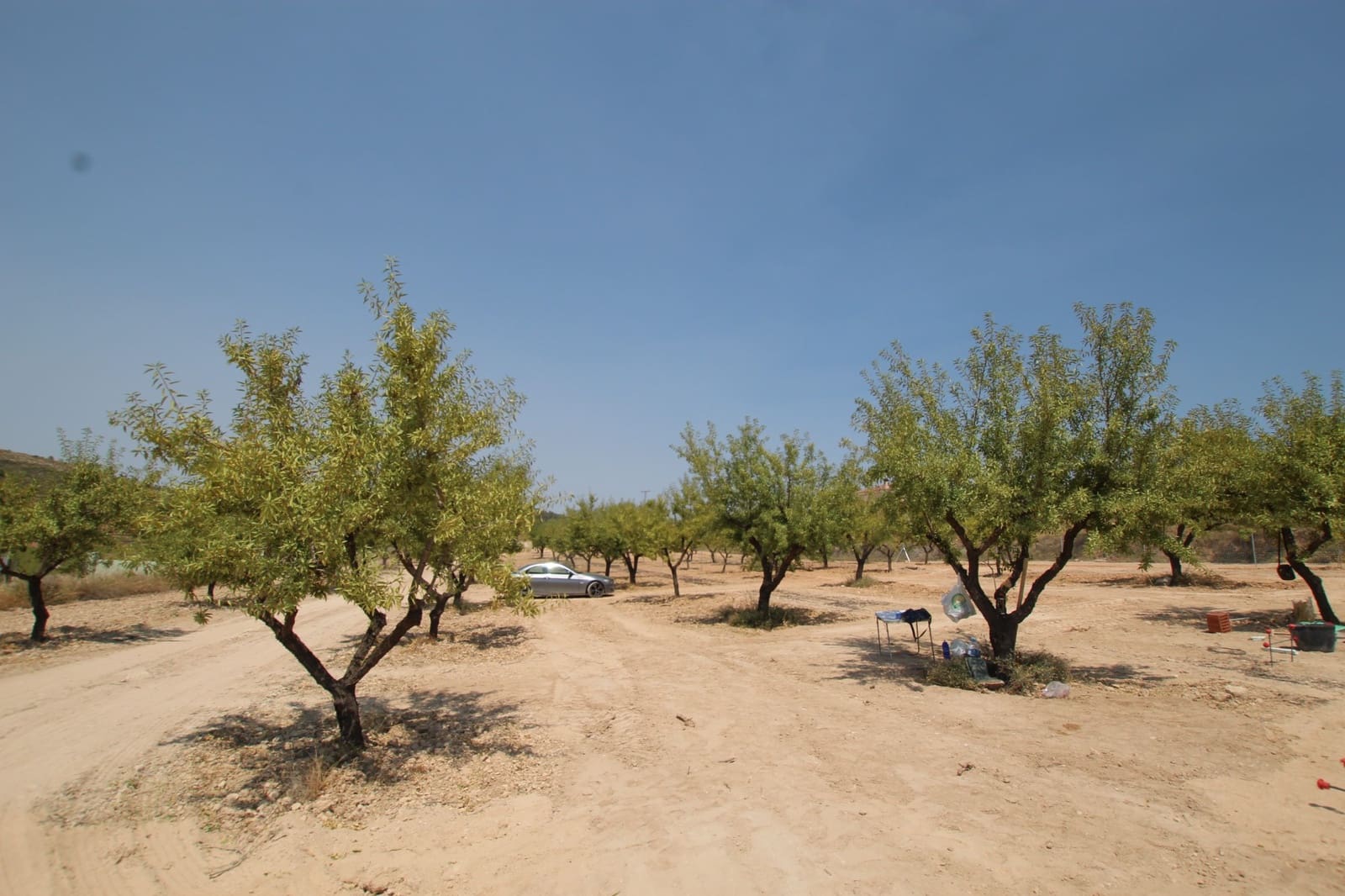 3 sypialnia Willa na sprzedaż w Pinoso z basenem - 304 995 € (Ref: 9069194)