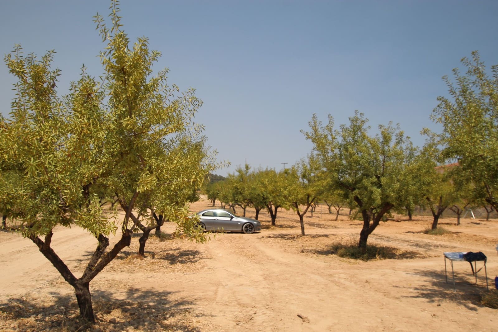 3 sypialnia Willa na sprzedaż w Pinoso z basenem - 304 995 € (Ref: 9069194)