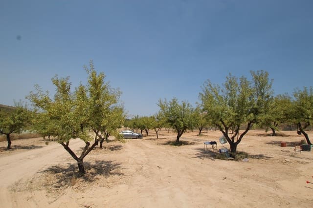 3 quarto Moradia para venda em Encebras, Pinoso com piscina - 304 995 € (Ref: 9069194)