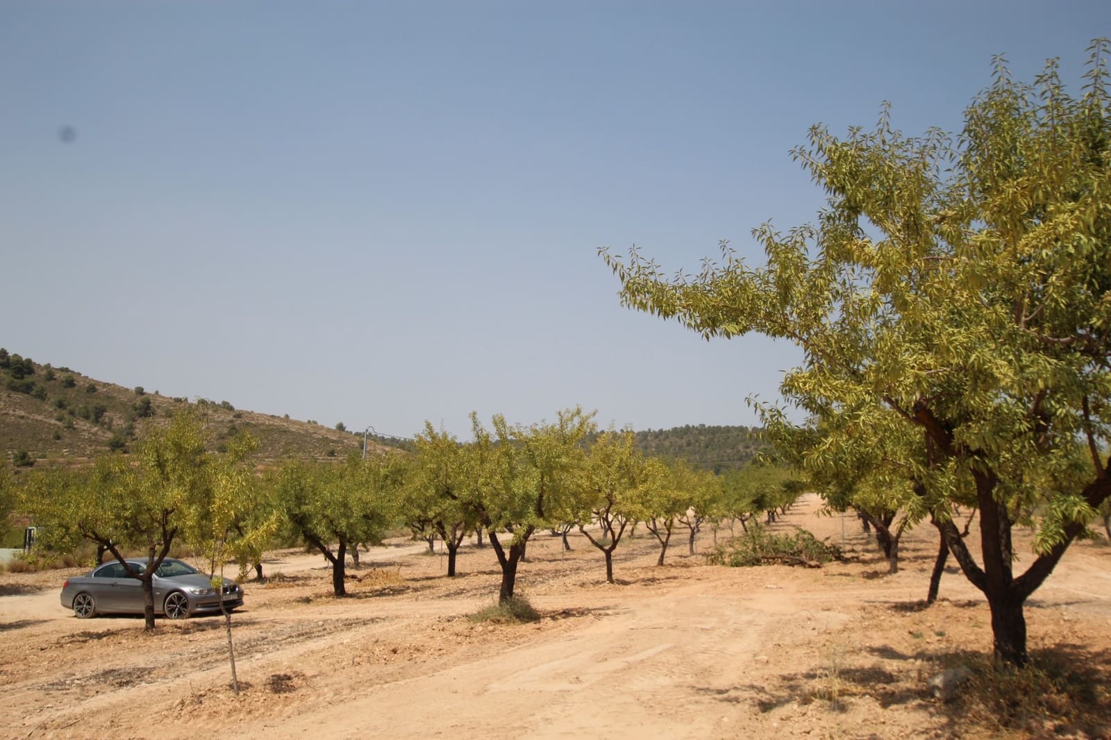 3 soveværelse Villa til salg i Pinoso med swimmingpool - € 309.995 (Ref: 9069195)