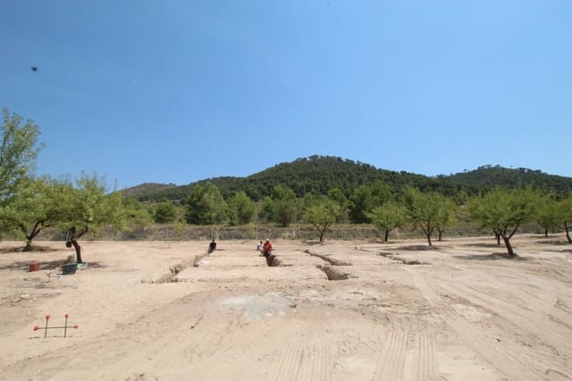 3 bedroom Villa for sale in Encebras, Pinoso with pool - € 309,995 (Ref: 9069195)