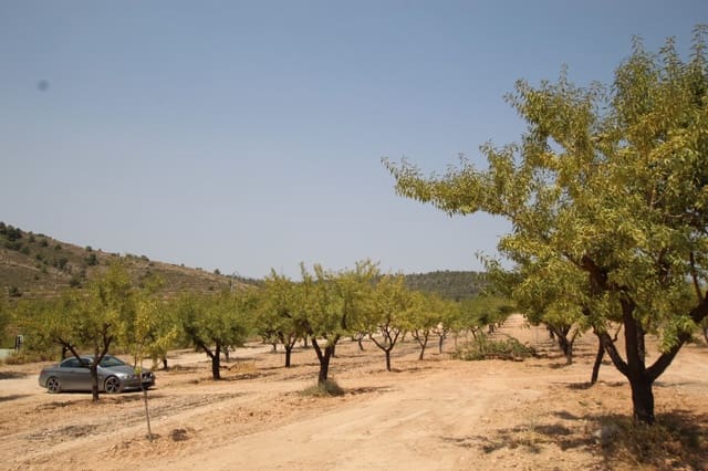 3 bedroom Villa for sale in Encebras, Pinoso with pool - € 309,995 (Ref: 9069195)