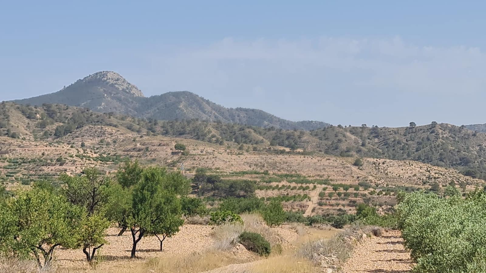 Terreno/Finca Rústica en Macisvenda en venta - 47.995 € (Ref: 9081827)