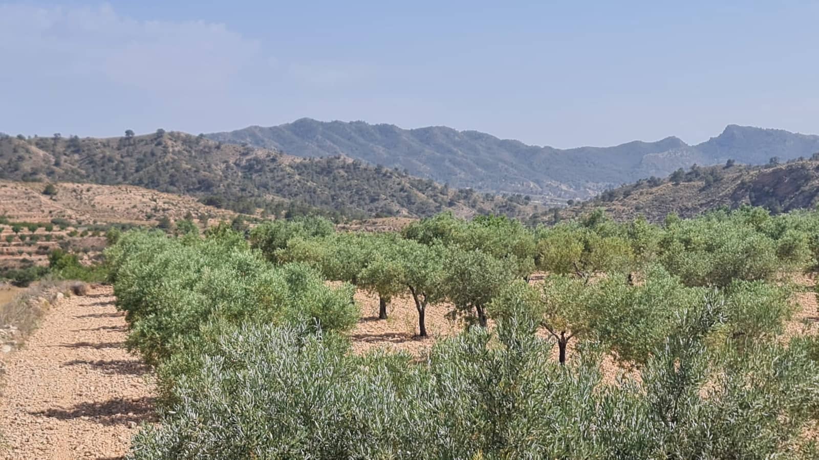 Terreno/Finca Rústica en Macisvenda en venta - 47.995 € (Ref: 9081827)