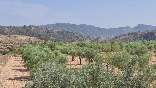 Terreno/Finca Rústica en Macisvenda, Abanilla en venta - 47.995 € (Ref: 9081827)