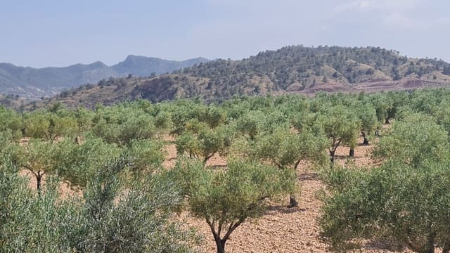 Terreno/Finca Rústica en Macisvenda, Abanilla en venta - 47.995 € (Ref: 9081827)