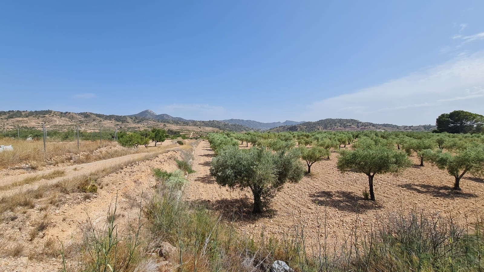 Terreno/Finca Rústica en Macisvenda en venta - 47.995 € (Ref: 9081827)