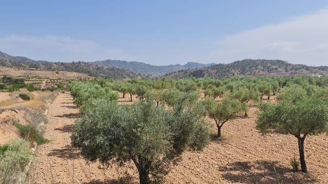 Terreno/Finca Rústica en Macisvenda, Abanilla en venta - 47.995 € (Ref: 9081827)