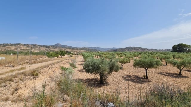 Terreno/Finca Rústica en Macisvenda, Abanilla en venta - 47.995 € (Ref: 9081827)