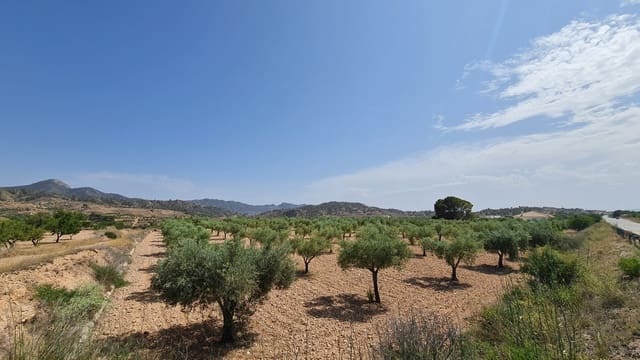 Terreno/Finca Rústica en Macisvenda, Abanilla en venta - 47.995 € (Ref: 9081827)